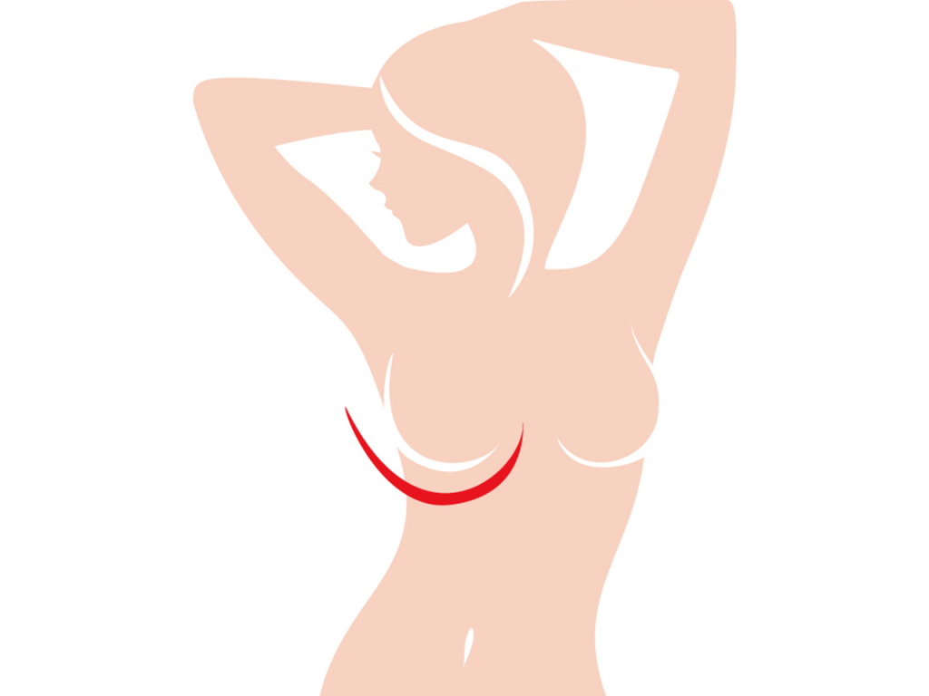 バストと身体の境目をバージスラインという