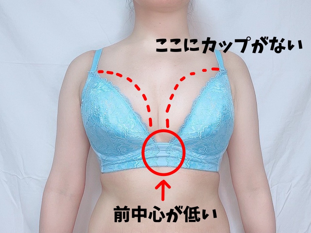 赤い点線部分にもカップがあることが多いグラマーサイズのブラ説明画像