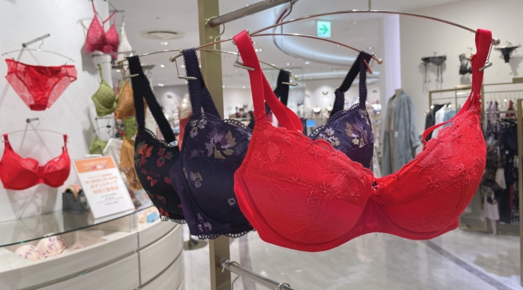 グラマーバストをすっきり見せるエヴァビアンのブラ 14,960円〜