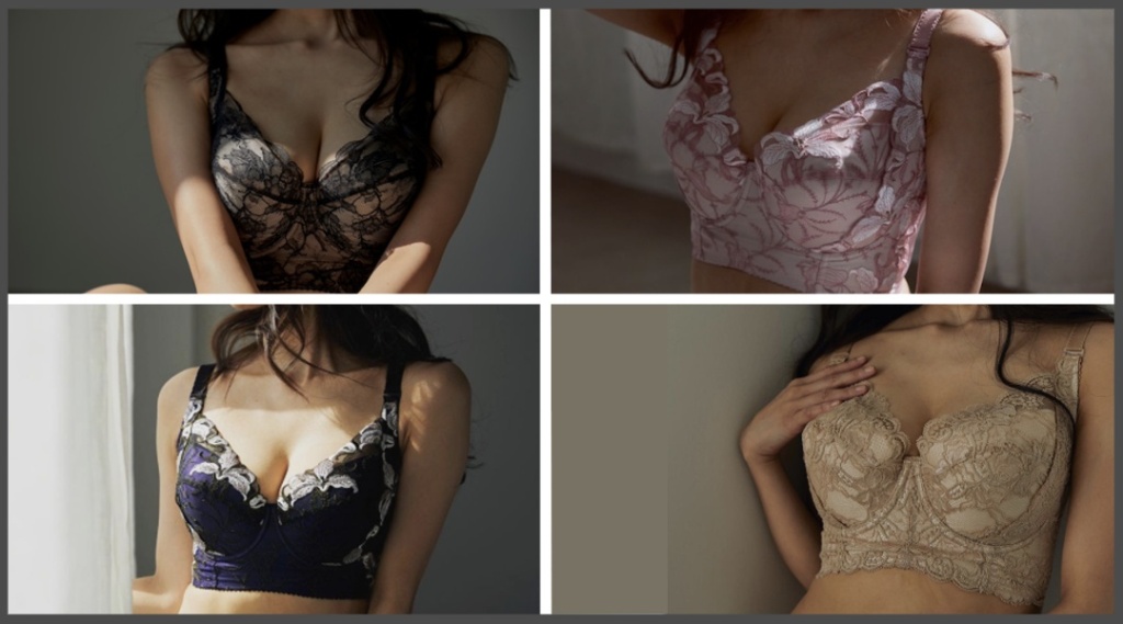 4種類のクロンヌシリーズ