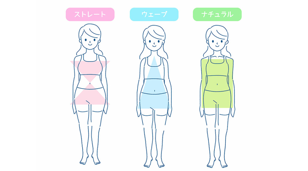 体のシルエットなどからストレート・ウェーブ・ナチュラルの3つのタイプに分けることができる